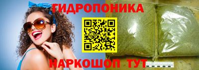 индика Будённовск