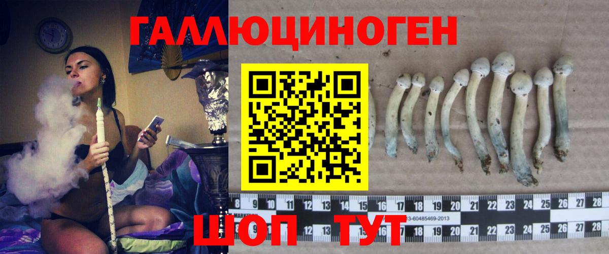 Псилоцибиновые грибы Magic Shrooms Волжский
